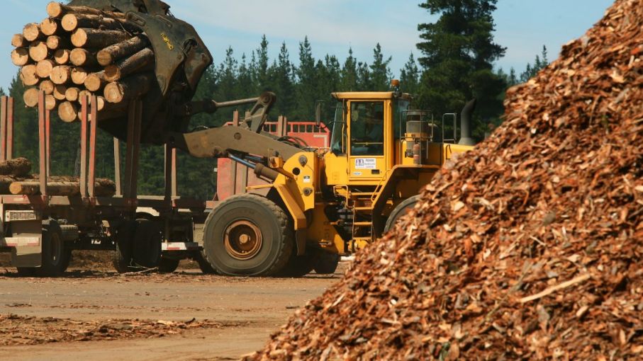 La actividad foresto-industrial argentina cuenta ventajas competitivas a nivel mundial que se podría aprovechar