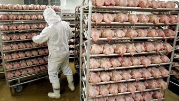 Se acordó una recomposición salarial del 41,16% para los trabajadores avícolas