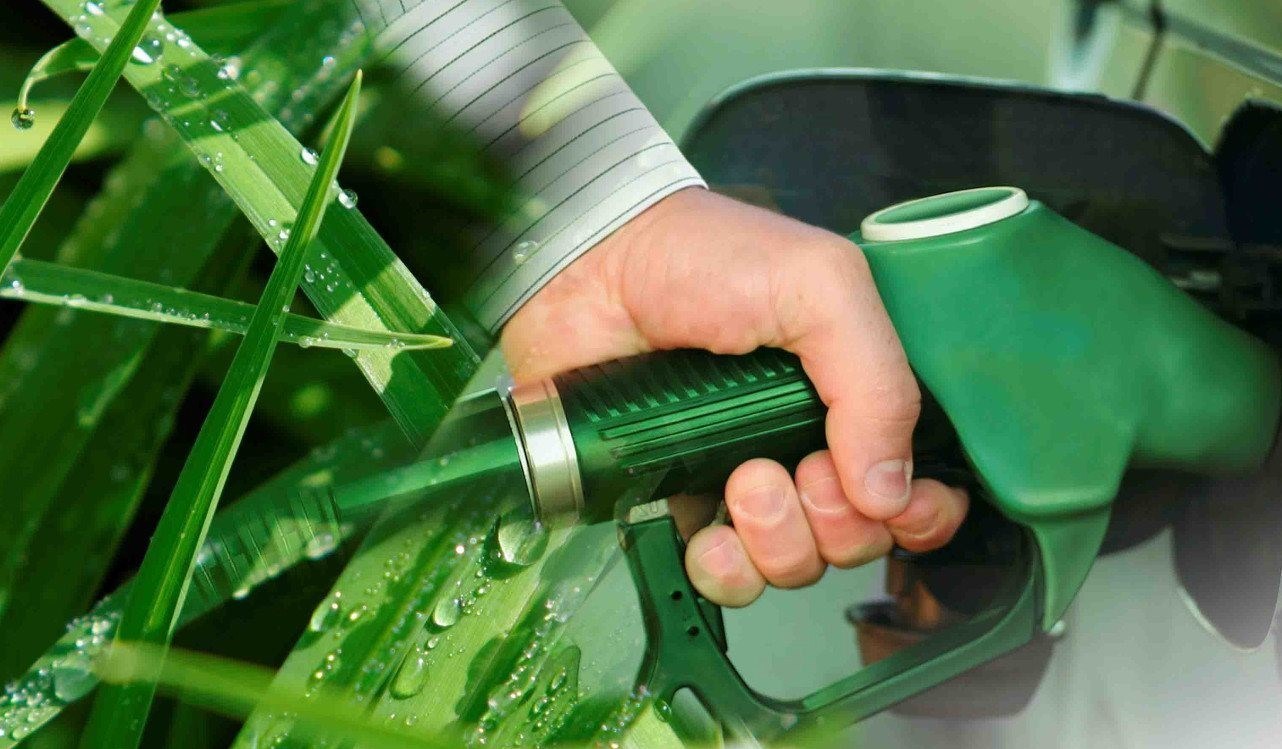 La Secretaría de Energía de la Nación fijó los cupos de bioetanol para los ingenios sucroalcoholeros