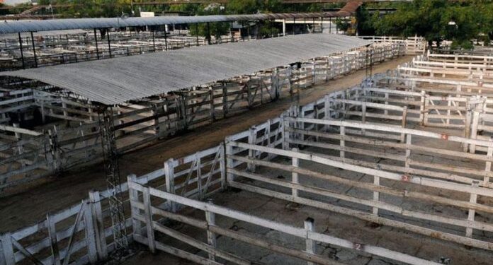 El mercado de Liniers vació su establecimiento por el paro del campo