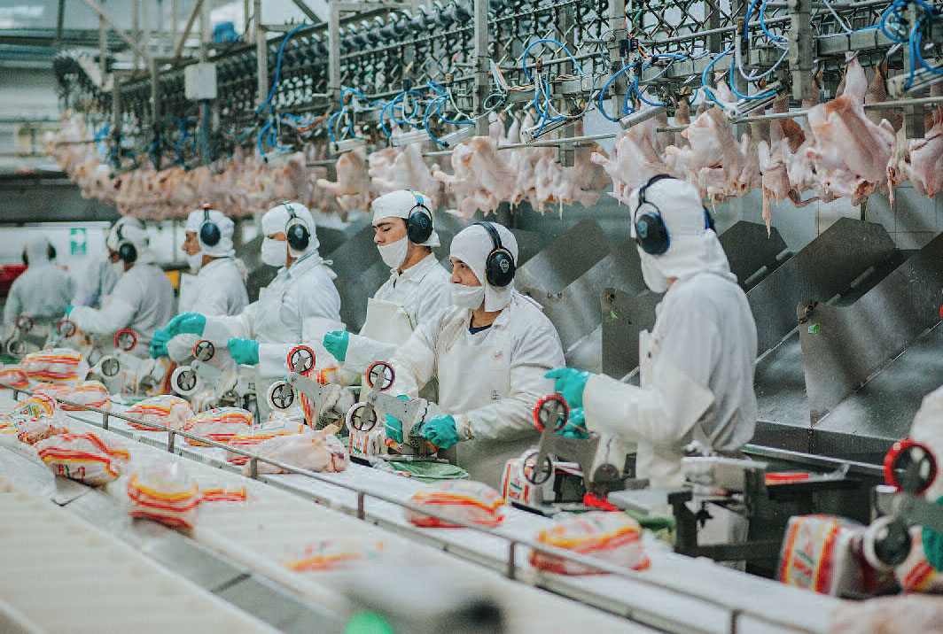 Argentina vuelve a exportar carne de ave a la Unión Europea