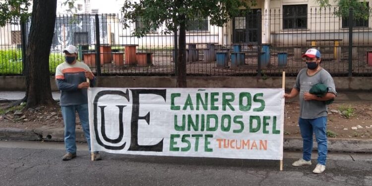 El sector cañero preocupado por la creciente incertidumbre y la disminución en el precio del azúcar