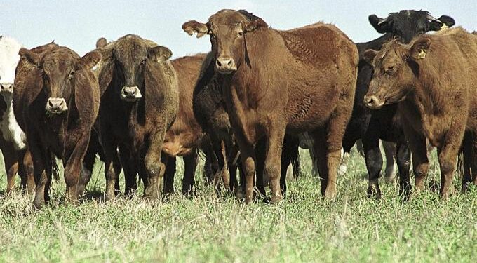 Las Sociedades Rurales del NOA adhieren al paro convocado por el campo