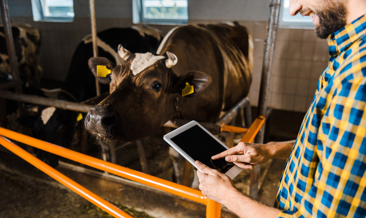 El Senasa intervino alrededor de 40.000 publicaciones de Mercado Libre, Instagram y Facebook por venta de productos animales y vegetales