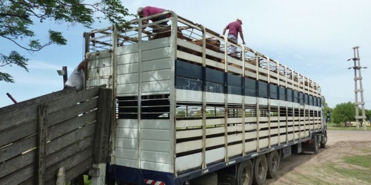 Paro del campo: Productores autoconvocados piden endurecer las medidas de fuerza