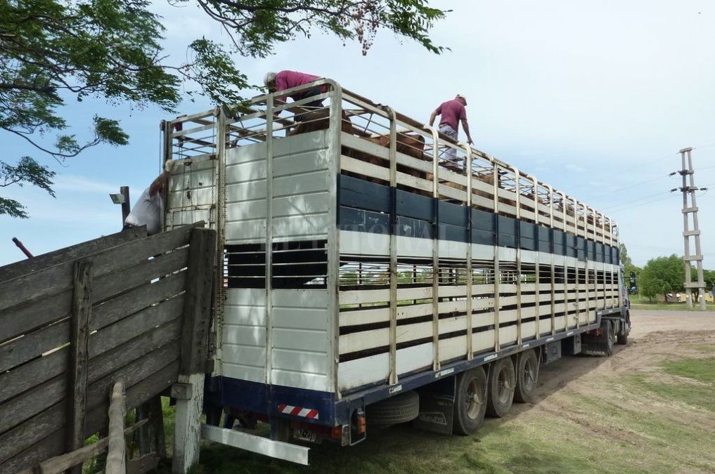 Paro del campo: Productores autoconvocados piden endurecer las medidas de fuerza