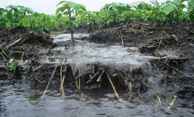 Tucumán cuenta con una nueva ley y un plan provincial para la conservación de los suelos