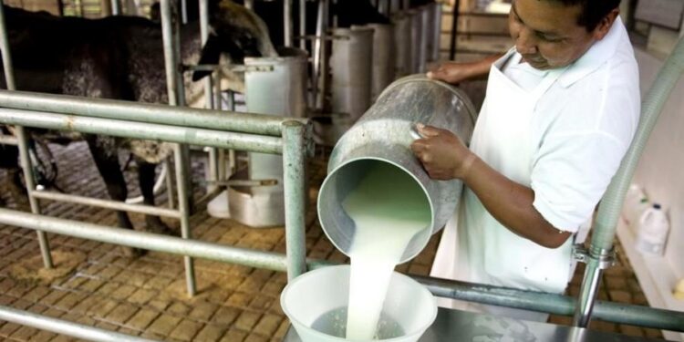 En Argentina creció la exportación de lácteos en el primer cuatrimestre de 2021