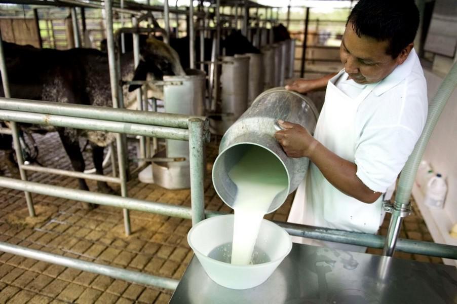 En Argentina creció la exportación de lácteos en el primer cuatrimestre de 2021