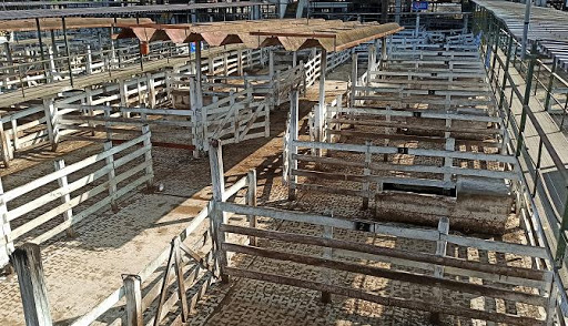 Desde La Mesa de Enlace anunciaron que continuará el paro del campo