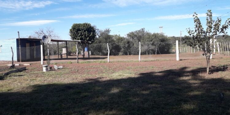 Pequeños productores de El Puestito organizados y adaptados lograron superar los obstáculos que trajo la pandemia