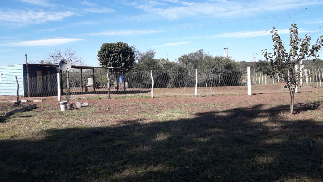 Pequeños productores de El Puestito organizados y adaptados lograron superar los obstáculos que trajo la pandemia