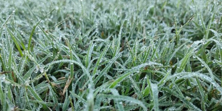 Cómo seguirá el pronóstico del heladas para esta semana