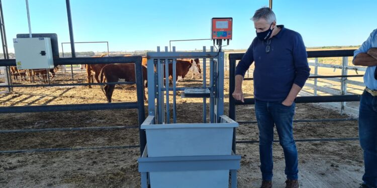 Angus implementará una novedosa prueba de eficiencia de conversión