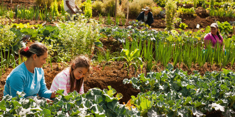 Impulsan un proyecto de ley para el fomento de la agroecología