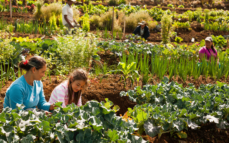 Impulsan un proyecto de ley para el fomento de la agroecología
