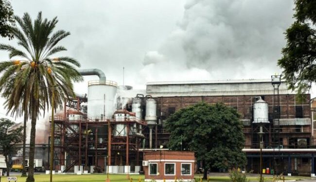 Zafra azucarera: 13 de los 15 ingenios tucumanos ya se encuentran trabajando