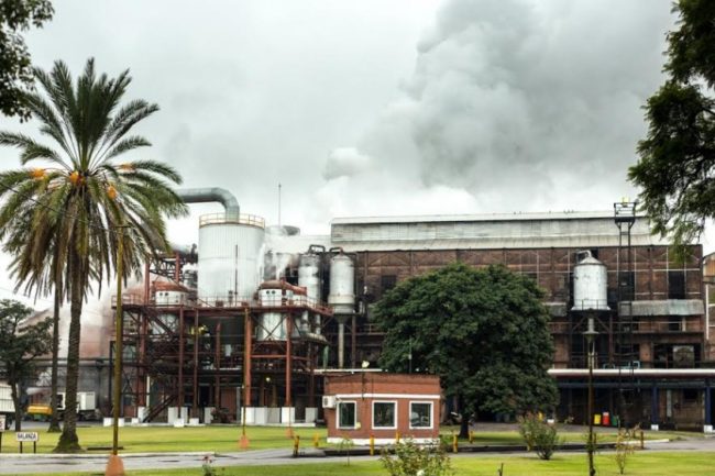 Zafra azucarera: 13 de los 15 ingenios tucumanos ya se encuentran trabajando