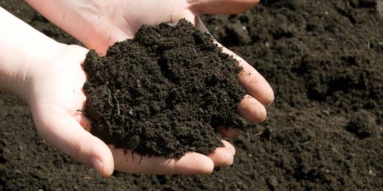 La Asociación Argentina de la Ciencia del Suelo lleva a cabo una encuesta para todo el personal del agro