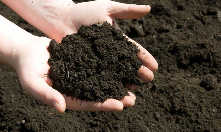La Asociación Argentina de la Ciencia del Suelo lleva a cabo una encuesta para todo el personal del agro