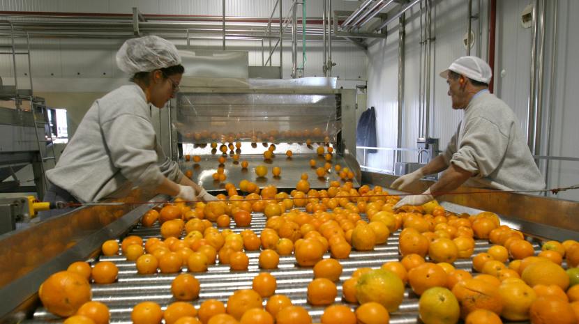 Oportunidad laboral y capacitación: En Tafí Viejo se dictará un curso de embalador citrícola