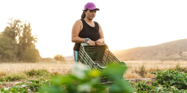 16 mensajes claves que los países de América llevarán a la cumbre mundial por los sistemas alimentarios