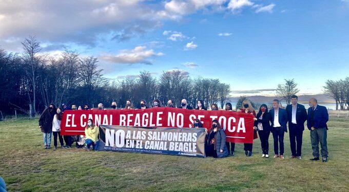 Medio ambiente: Argentina es el primer país en prohibir la cría de salmones