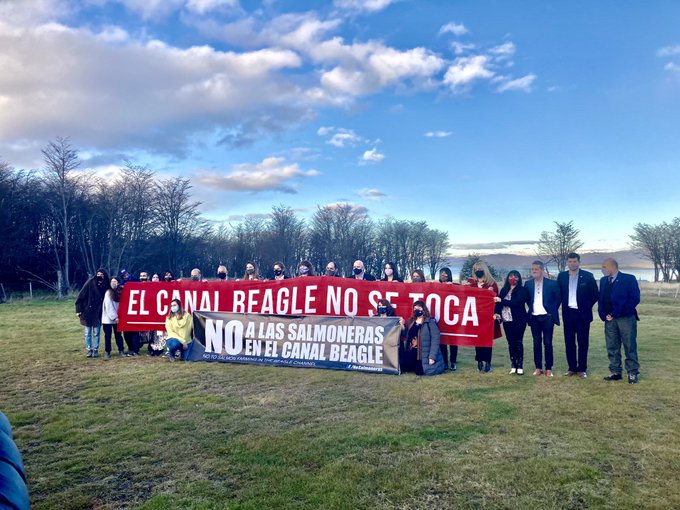Medio ambiente: Argentina es el primer país en prohibir la cría de salmones