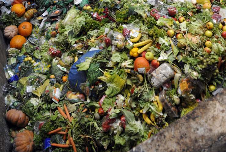 De los alimentos producidos en el mundo, el 40% termina en la basura