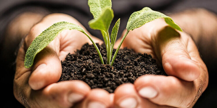 Bioinsumos: la nueva tendencia para llegar a una agricultura sostenible