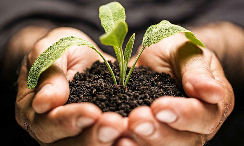 Bioinsumos: la nueva tendencia para llegar a una agricultura sostenible