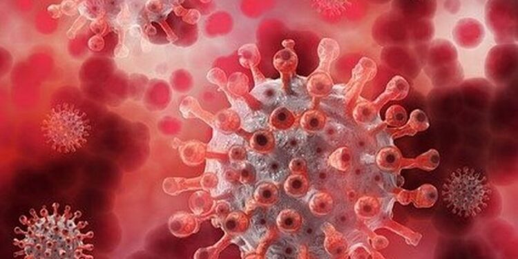 Gran hallazgo: Péptidos de la quinoa podrían inhibir al coronavirus