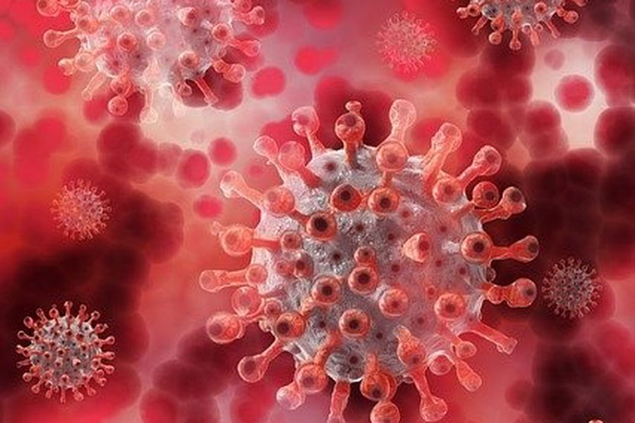 Gran hallazgo: Péptidos de la quinoa podrían inhibir al coronavirus