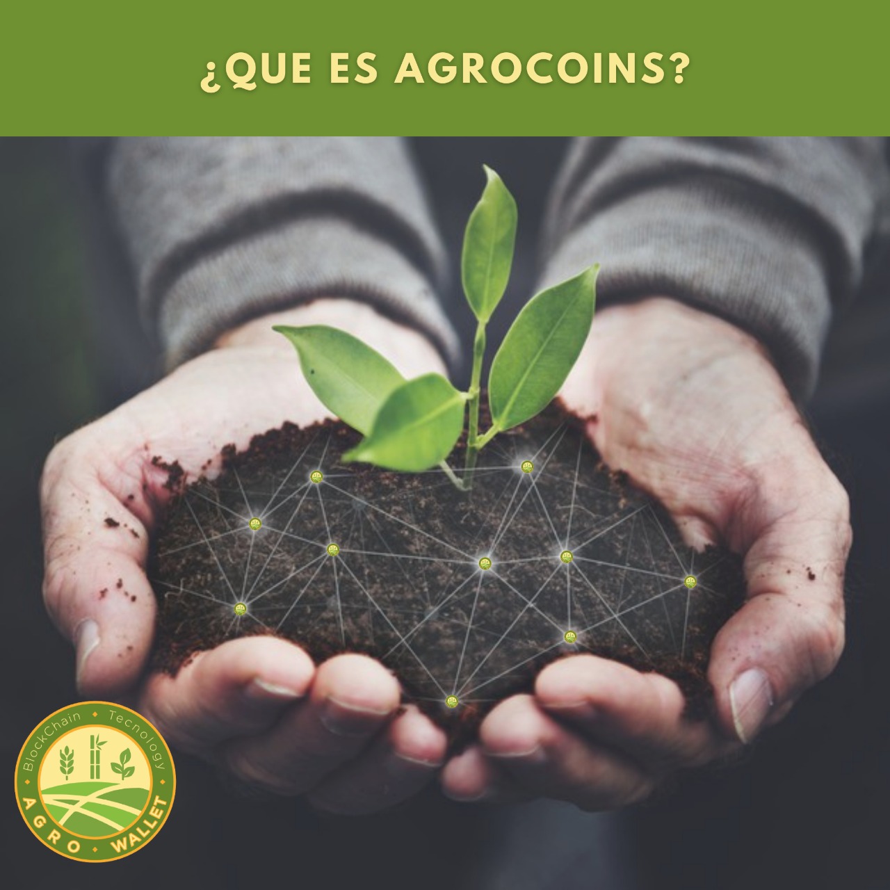 Agrocoins: la nueva alternativa del mundo criptográfico destinada al sector agropecuario