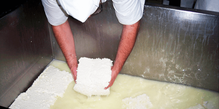 Investigadores tucumanos crean alimentos novedosos a partir de suero lácteo