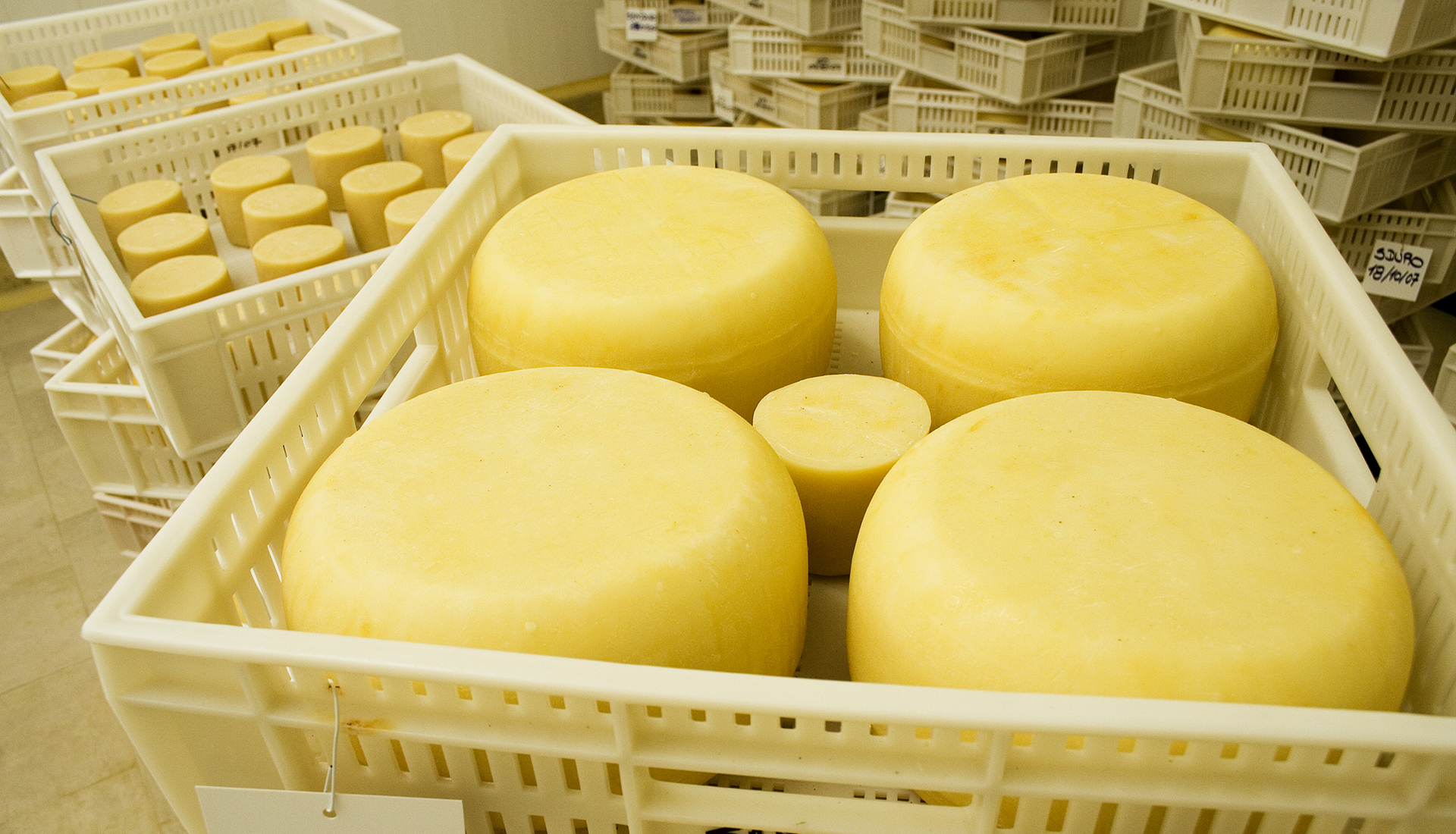 Qué dice la nueva normativa del código alimentario sobre elaboraciones artesanales