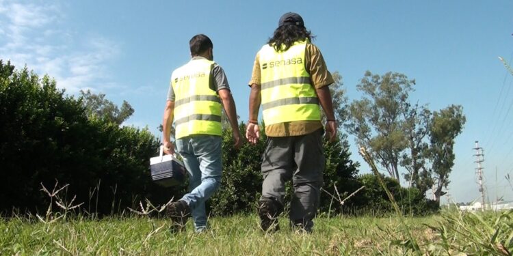 Aumentan los controles para prevenir la entrada del HLB a la provincia y el país