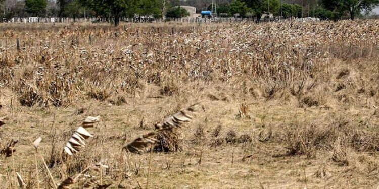 Sequías en Tucumán: Otra vez se viene La Niña
