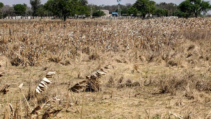 Sequías en Tucumán: Otra vez se viene La Niña