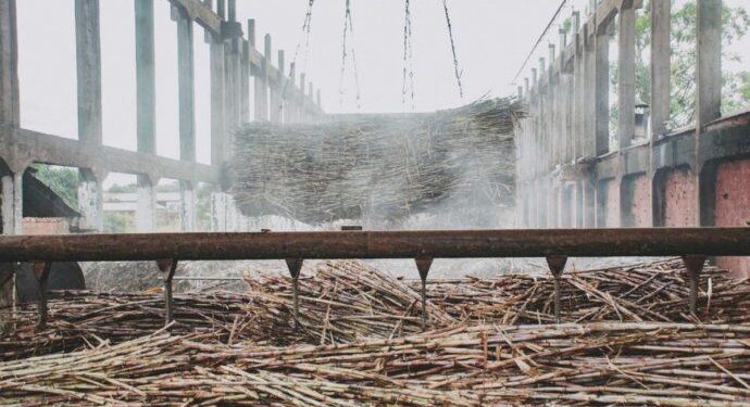 Un ingenio misionero revoluciona la producción de azúcar y alcohol con máquinas irrisorias