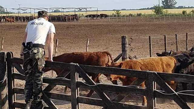 Importantes avances para combatir los delitos rurales en Tucumán
