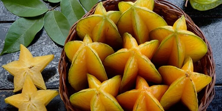 En las Yungas jujeñas se comenzó a producir frutas tropicales exóticas