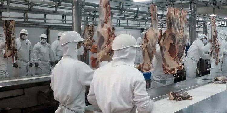 Comenzaron los despidos en los frigoríficos del centro del país