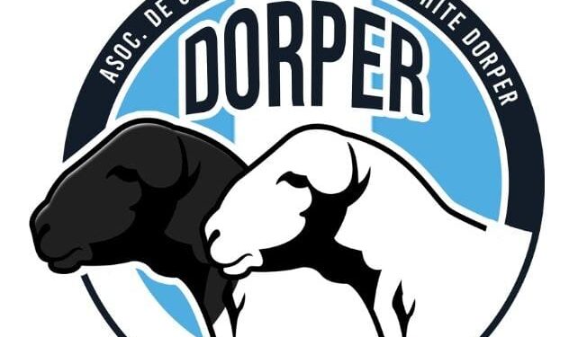 Se creó la Asociación de Criadores Dorper y Dorper White Argentina