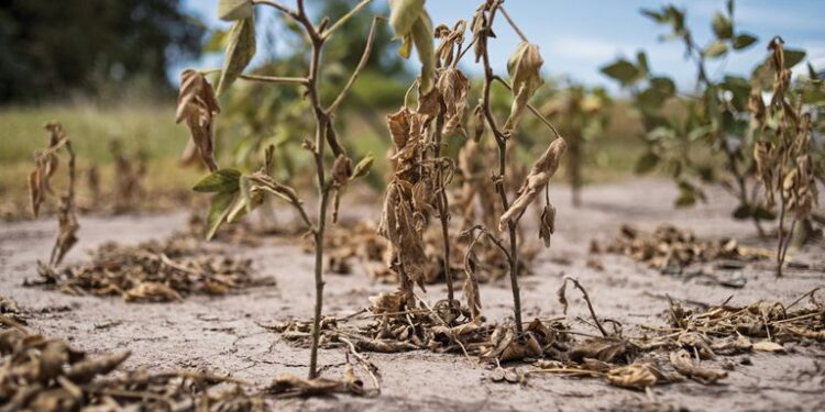 El regreso del fenómeno La Niña ya está asegurado
