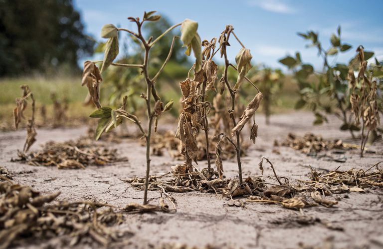 El regreso del fenómeno La Niña ya está asegurado