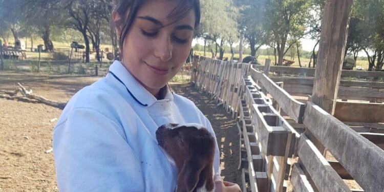 Tucumán exportará carne caprina y ovina Halal