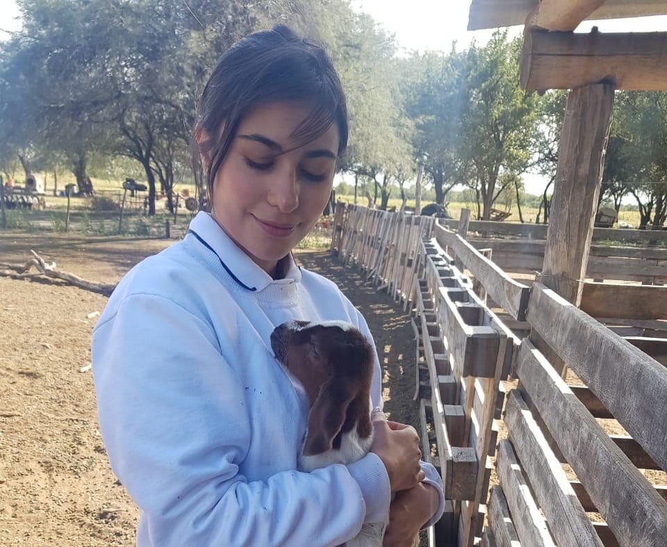 Tucumán exportará carne caprina y ovina Halal