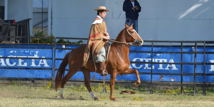 El evento ecuestre que te enseña todo sobre los caballos estará en la Expo Tucumán