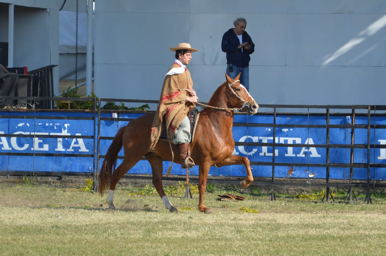 El evento ecuestre que te enseña todo sobre los caballos estará en la Expo Tucumán